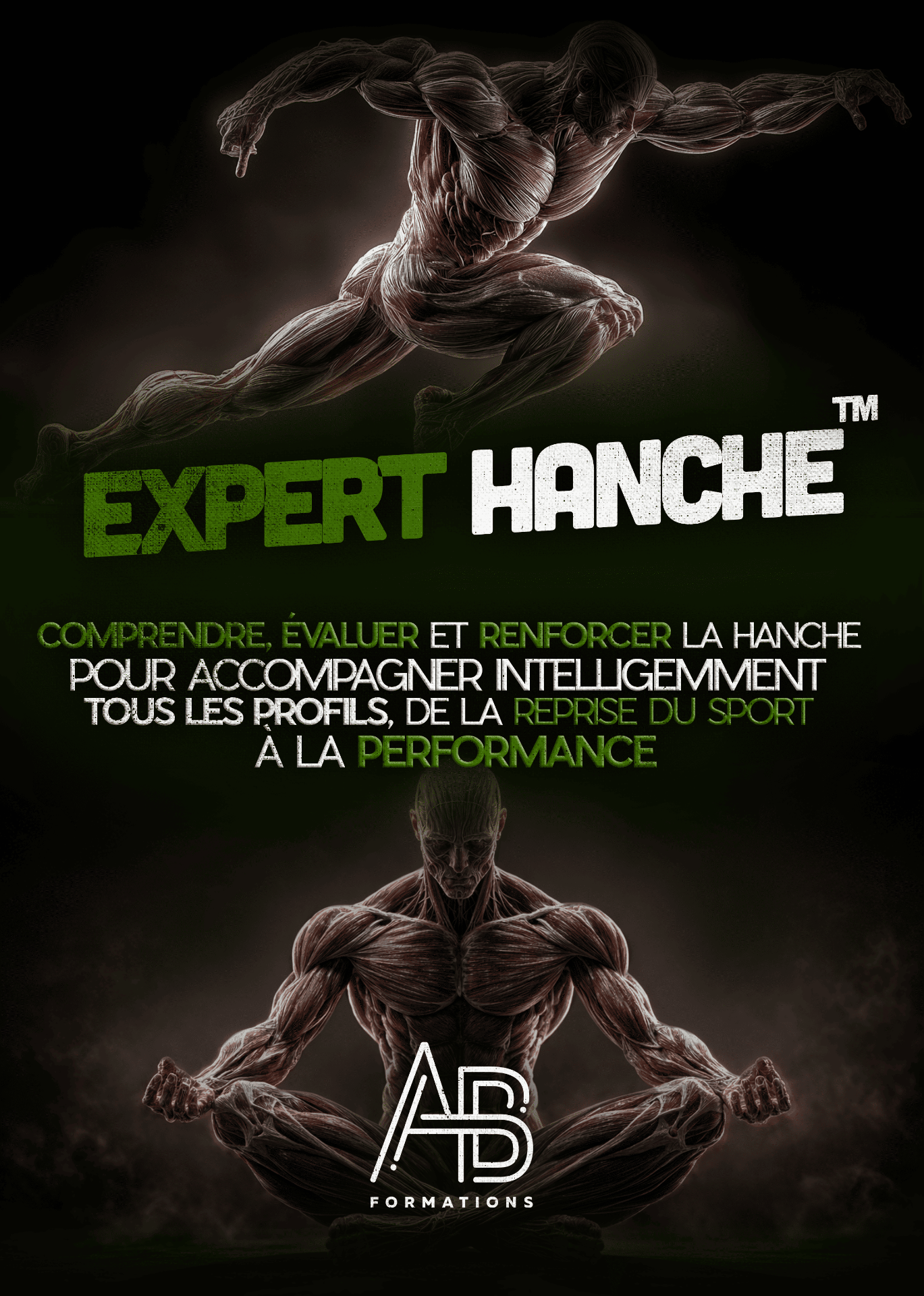 Expert Hanche™